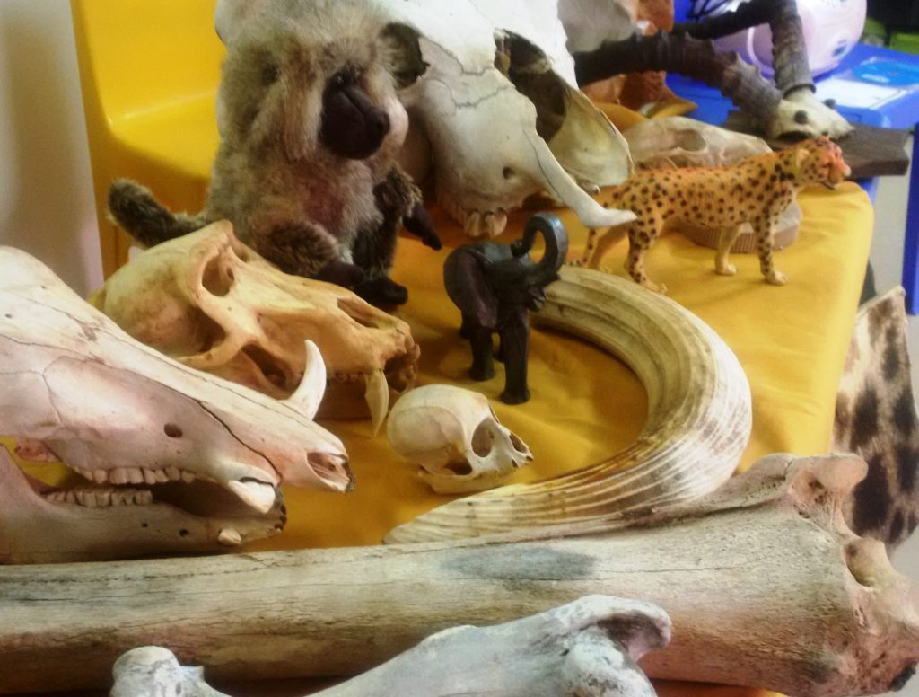 Eersterust Montessori