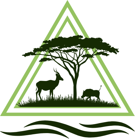 EIAA_Authorisation and Risk