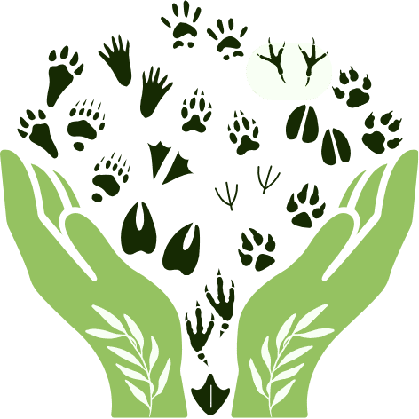 EIAA_Baseline or Biodiversity