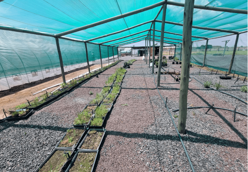 EIAA_Greenhouse Left View