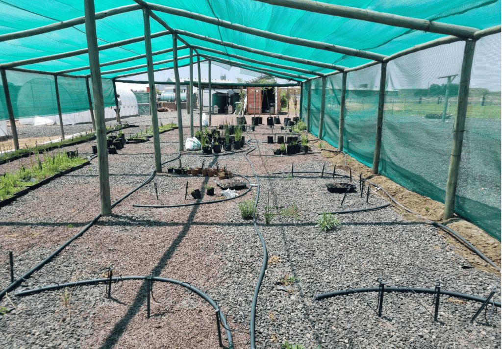 EIAA_Greenhouse Right View