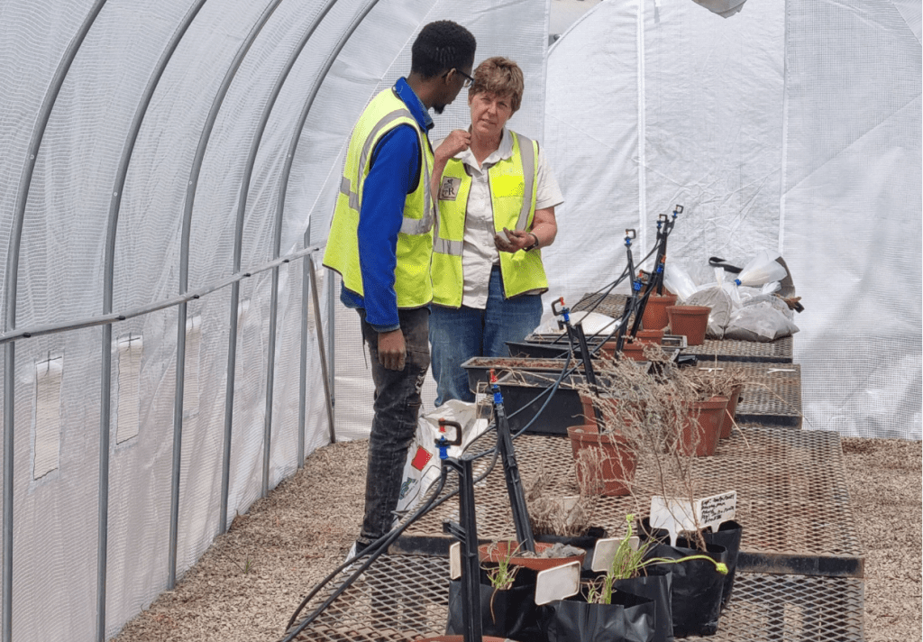 EIAA_Tunnel Plant Inspection