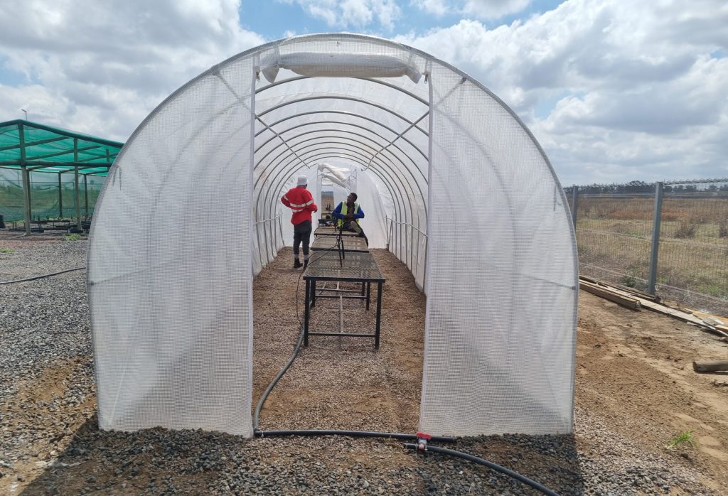 Environmental Rehabilitation and Restoration